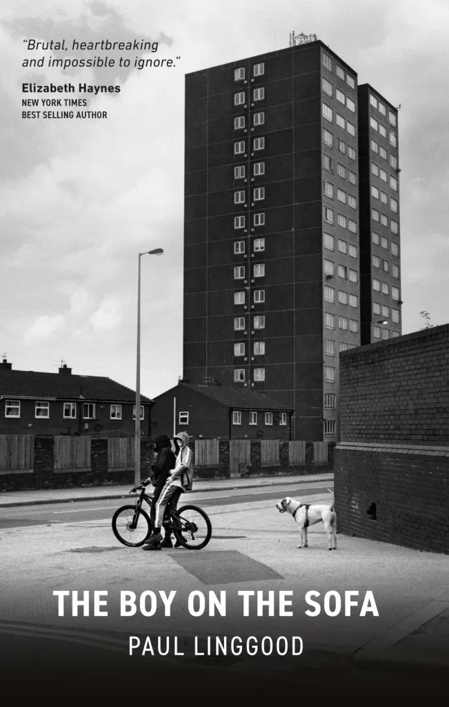 The Boy on the Sofa by Paul Linggood — book cover